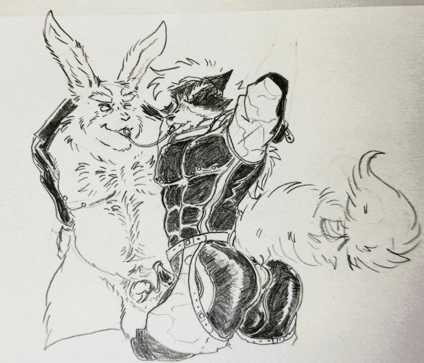 Peppy Hare (Nintendo) Rule 34 Image