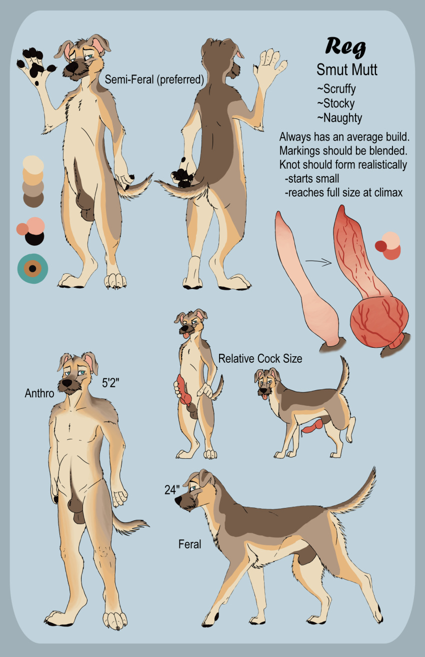 1boy anatomically_correct animal_genitalia animal_penis anthro ass balls canine canine_penis cum erection feral fur half-closed_eyes hi_res knot looking_at_viewer male male_only mammal model_sheet nude penis reg regsmutt simple_background smile solo tongue