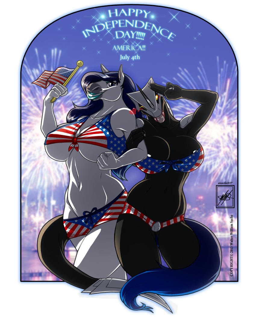 4th Of July Rule 34 Image