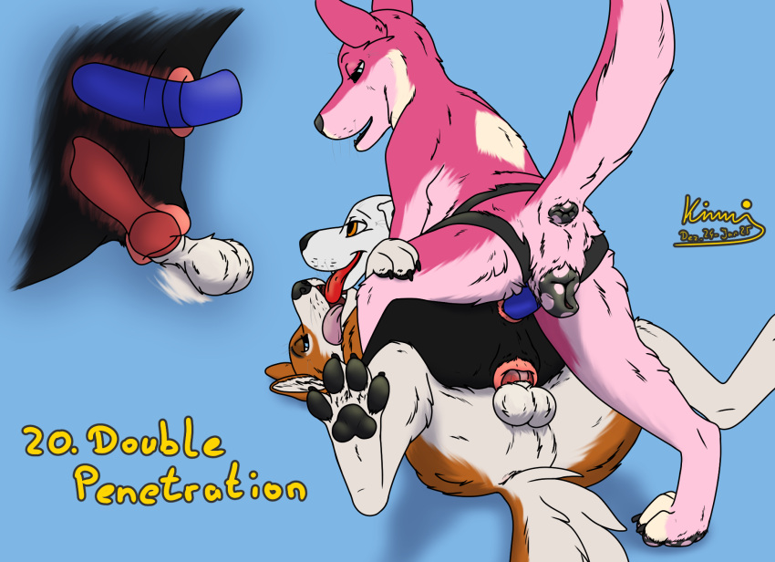 Jess (Kinaj) Rule 34 Image