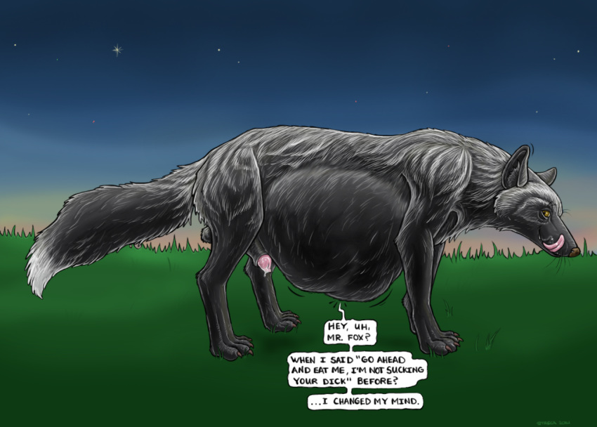 animal_genitalia canine dialogue fox grass licking licking_lips male mammal night outside penis precum renaud_(character) sheath silver_fox speech_bubble stomach_bulge strega text tongue tongue_out vore