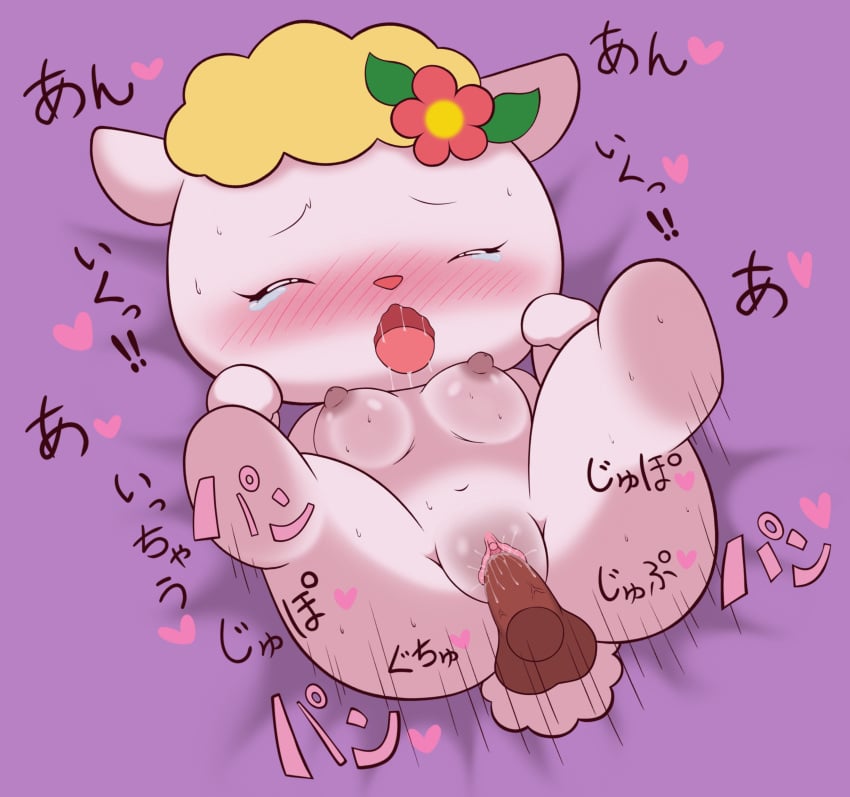 2021 absurd_res accessory anthro balls blonde_hair blush bodily_fluids bovid breasts caprine chibi chrono_(artist) chrono_(pixiv) closed_eyes digital_media_(artwork) disembodied_penis duo female female_focus female_penetrated fifi_(hello_kitty) fifi_(sanrio) flower flower_in_hair genital_fluids genitals hair hair_accessory hello_kitty hello_kitty_(series) hi_res japanese_text male male/female male_penetrating male_penetrating_female mammal navel nipples nude open_mouth penetration penis plant procyonid pussy raccoon saliva sanrio sex sheep simple_background sweat tail text tracy_(hello_kitty) tracy_(sanrio) vaginal_fluids vaginal_penetration white_body