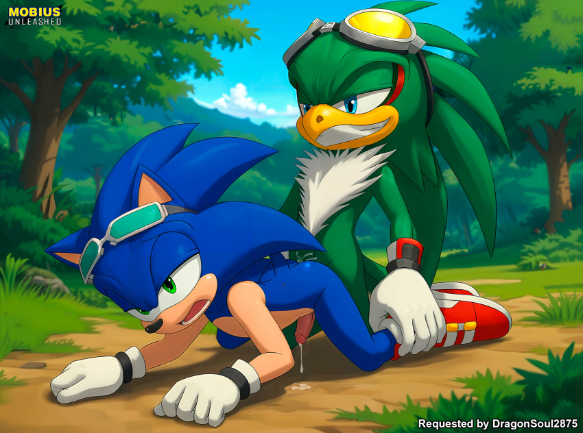 Jet The Hawk (Sega) Rule 34 Image