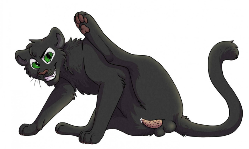 Animal Genitalia Rule 34 Image