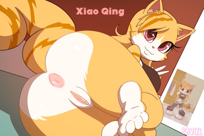 1girls anthro anus artist_name ass big_ass big_butt bottomless clothed clothing female first_porn_of_character genitals peace_symbol pink_eyes pussy shooki_(taiwan_coolfox) smile solo surechie_(taiwan_coolfox) taiwan_coolfox vulva xiao_qing xiao_qing_(taiwan_coolfox) zaviel