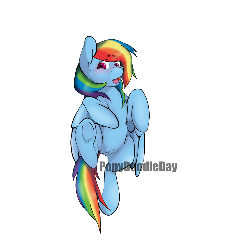 1girls alpha_channel blush cute equine female female_only feral friendship_is_magic hair hooves horse mammal mane multicolored_hair my_little_pony nude one_leg_up pegasus pony ponydoodleday pussy rainbow_dash_(mlp) simple_background solo transparent_background white_background wings