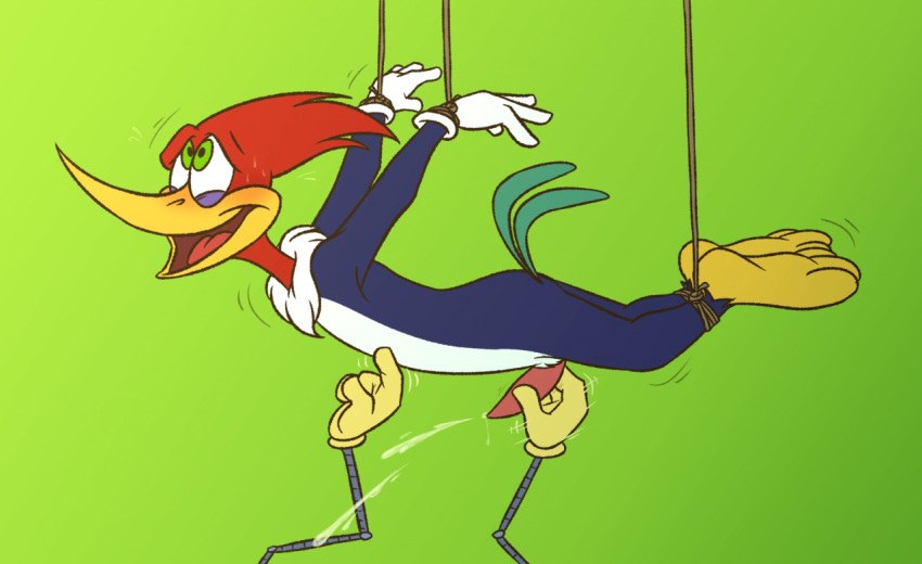 avian bondage cum erection ladysomnambule male male_only penis precum solo sweat the_woody_woodpecker_show universal_studios woody_woodpecker