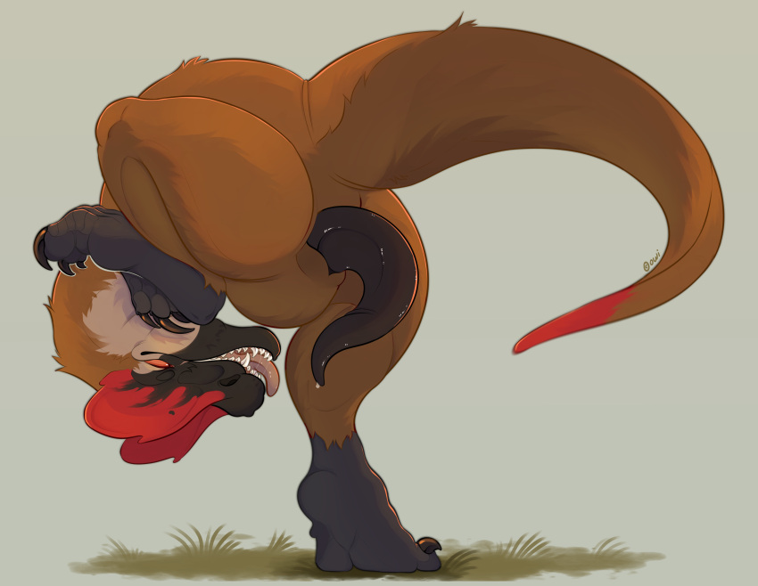 Absurd Res Rule 34 Image
