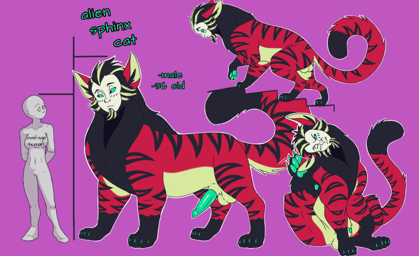 Sphynx (Cat) Rule 34 Image
