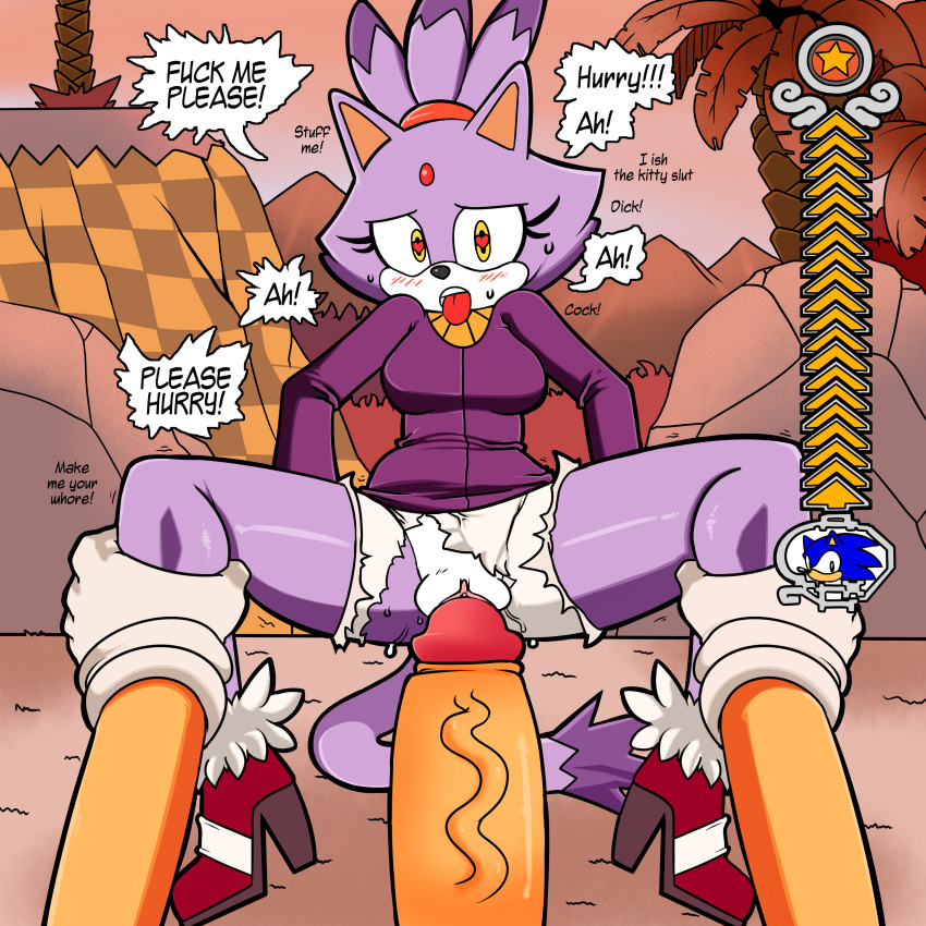 blaze_the_cat feline female hedgehog huge_cock male mammal meter poking pussy sonic_(series) sonic_the_hedgehog straight superbunnygt viktor2