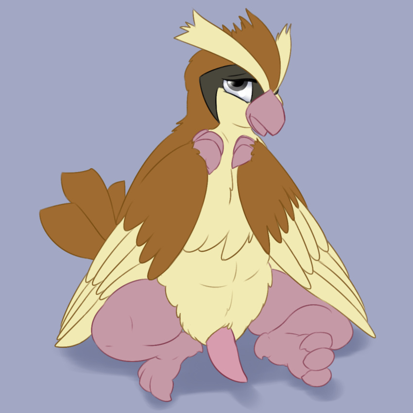 1boy animal_genitalia anthro anthrofied avian beak bird brown_fur chest_tuft claws erection feathered_wings feathers fur grey_eyes half-closed_eyes head_tuft looking_at_viewer male male_only nintendo nude open_mouth penis pidgey pokemon pokemon_rgby posexe presenting shy simple_background sitting slightly_chubby solo spread_legs spreading tapering_penis tuft video_games white_fur wings