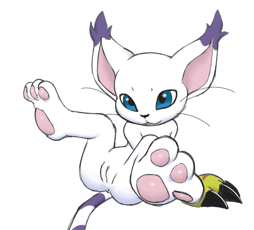 anthro anus barefoot blue_eyes clitoris clothing colored digimon feline female foot_focus fur furry furry_only gatomon gloves hindpaw legs_up looking_at_viewer mammal mostly_nude pawpads paws plantigrade pussy seductive solo spread_legs spreading tail vulapa whiskers