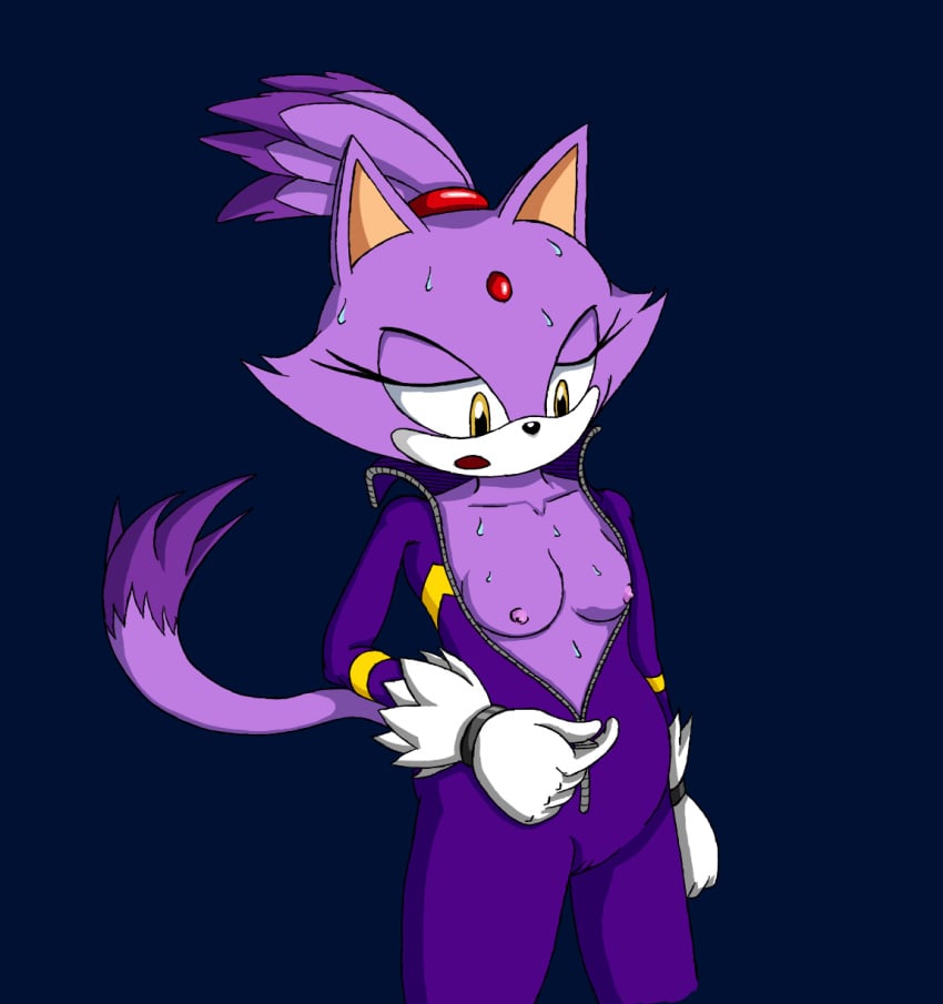 anthro blaze_the_cat breasts clothing feline female female_only fur gloves half-closed_eyes jumpsuit nipples purple_hair solo sonic_(series) sonic_riders standing tagme tail wildswingding