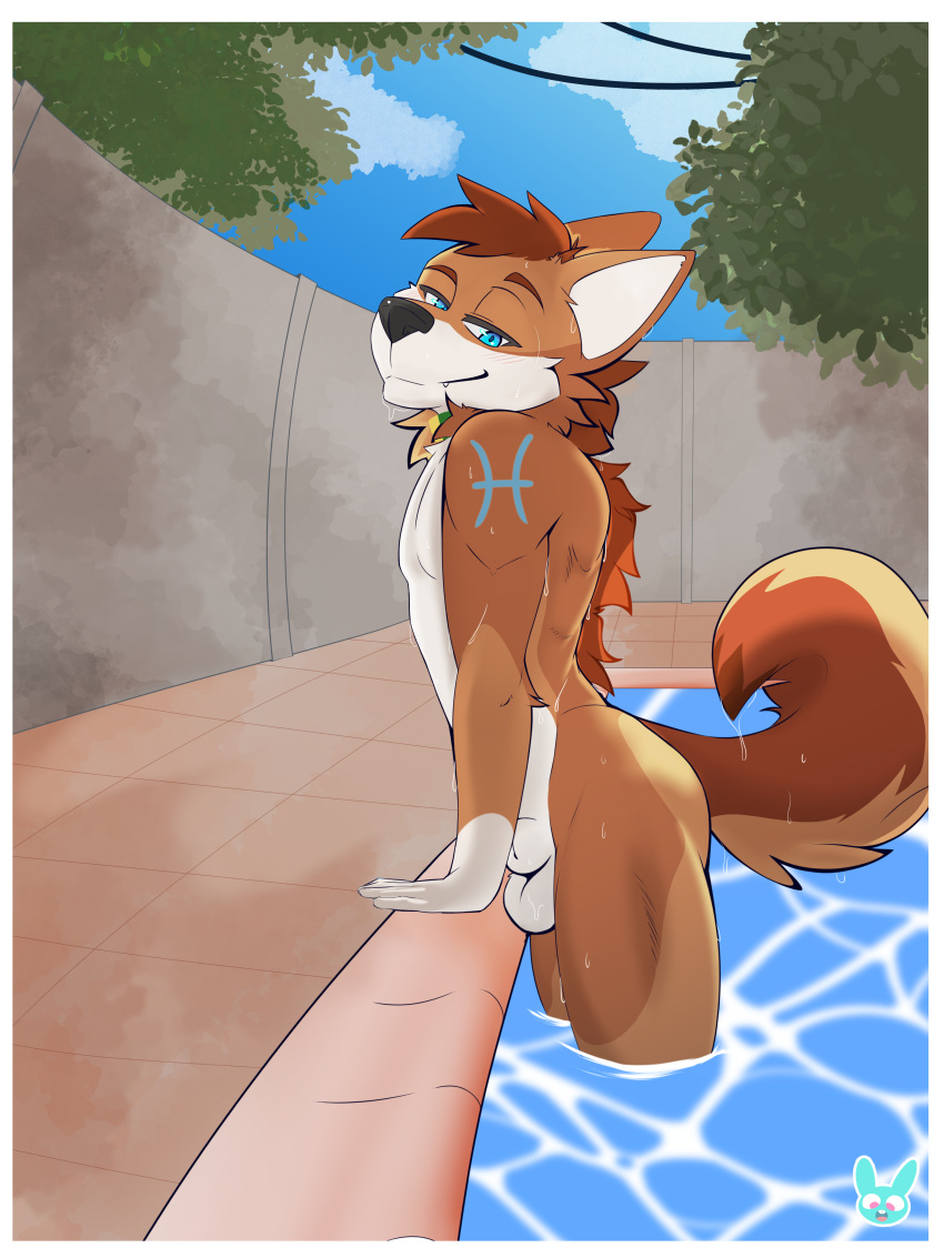 Cain The Dingo Rule 34 Image