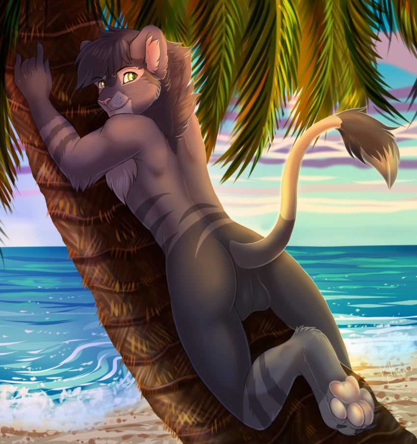 1boy 4_toes 5_fingers anthro backsack balls bare_back beach day feline fur green_eyes grey_fur grey_hair hair inner_ear_fluff ketty-leopardess lion male male_only mammal outside palm_tree pawpads pink_nose seaside sky smile solo toes tree water