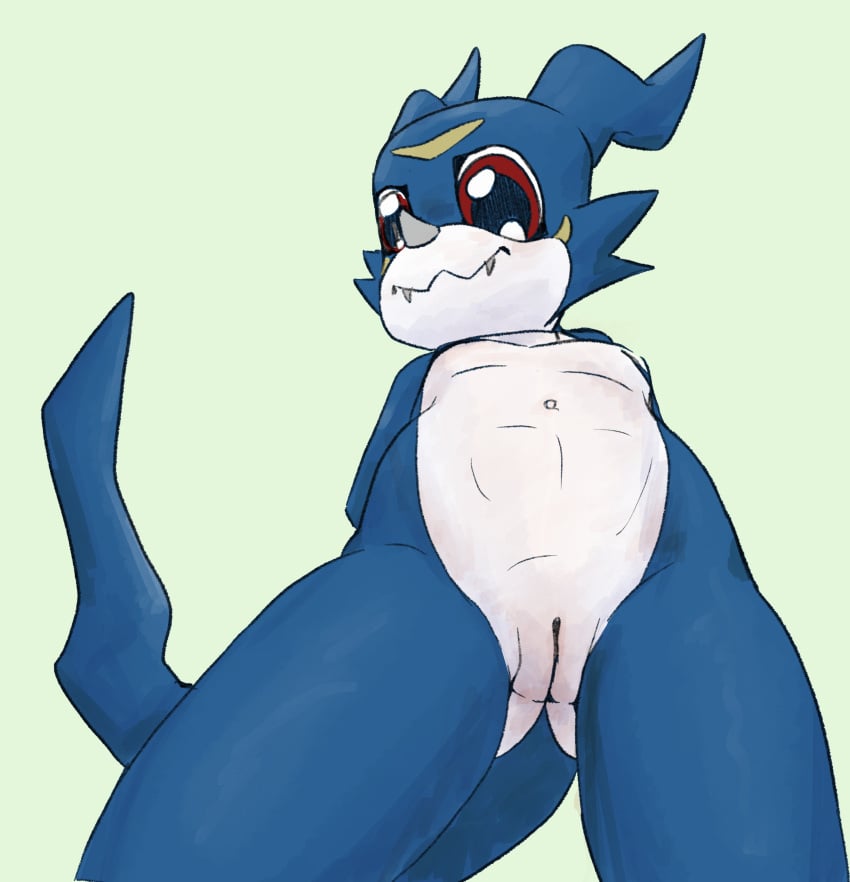 absurd_res andromorph anthro bandai_namco cuntboy digimon digimon_(species) genitals hi_res intersex low-angle_view pussy solo tabloi veemon