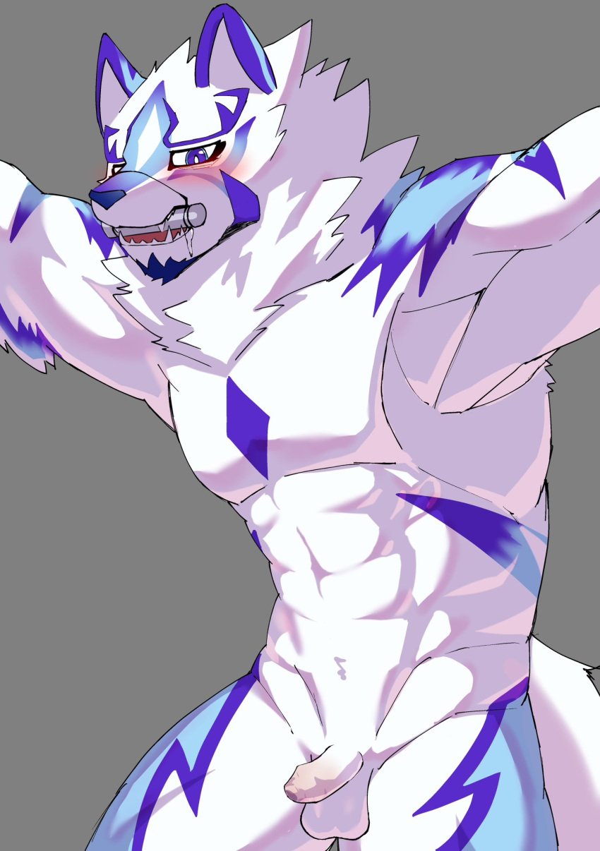 anthro blue_eyes blush bondage bound canid canine flaccid foreskin fur gag gagged genitals hi_res ho_jiro lifewonders live_a_hero male mammal multicolored_body multicolored_fur muscular muscular_anthro muscular_male nude pecs penis sadayoshi small_penis solo