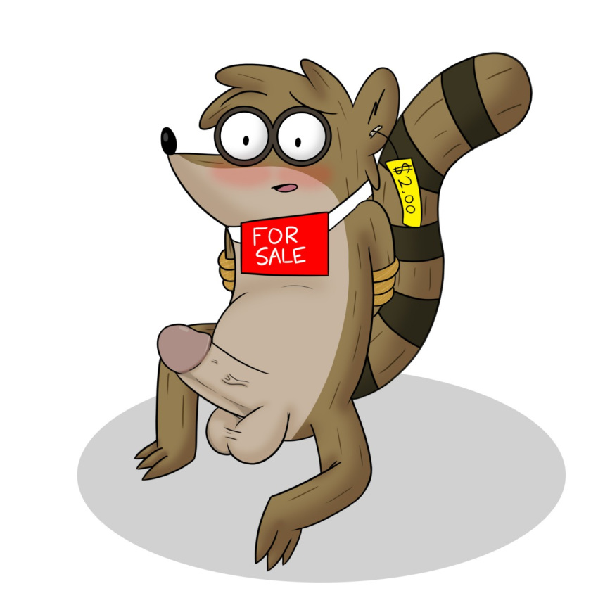 1boy anthro balls bound cartoon_network circumcised erection furry humanoid_penis male male_only mammal penis raccoon regular_show rigby solo veinsafterdark