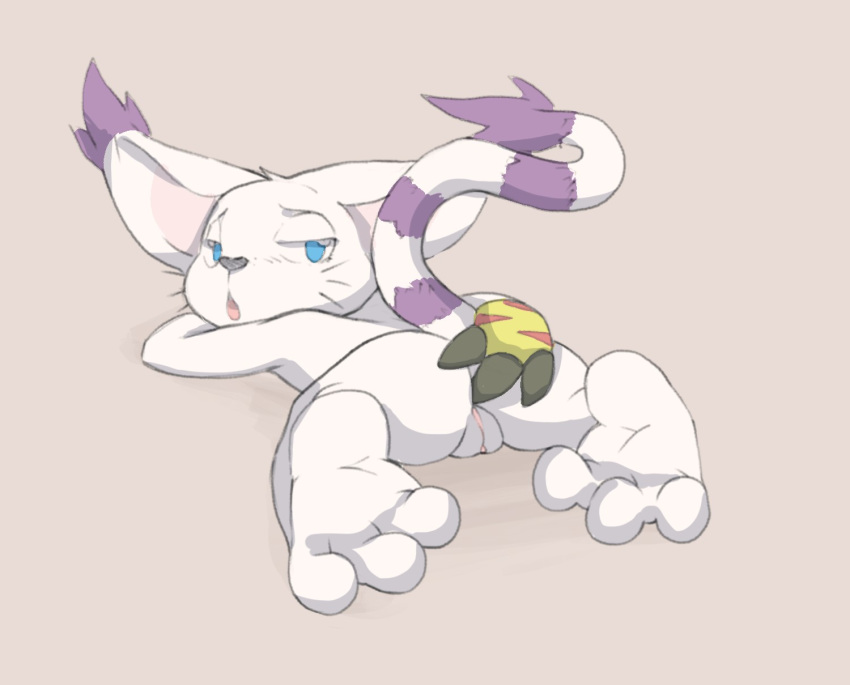 anal anal_fingering ass cel_shading clitoris digimon feline finegan fingering fingering_self gatomon half-closed_eyes looking_back looking_pleasured lying mammal on_front open_mouth plantigrade pussy raised_tail rear_view solo spread_legs spreading whiskers