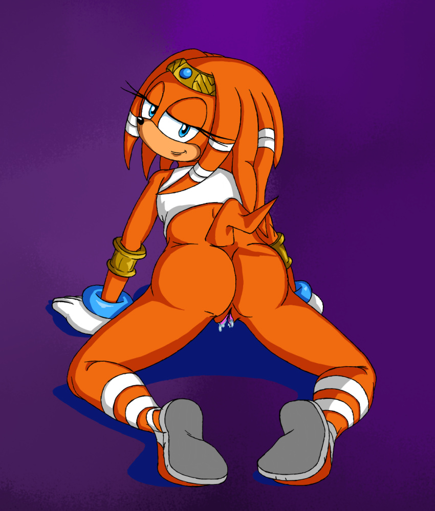 all_fours anthro bent_over female gloves half-closed_eyes looking_back presenting pussy solo_focus sonic_(series) tagme tikal_the_echidna wildswingding