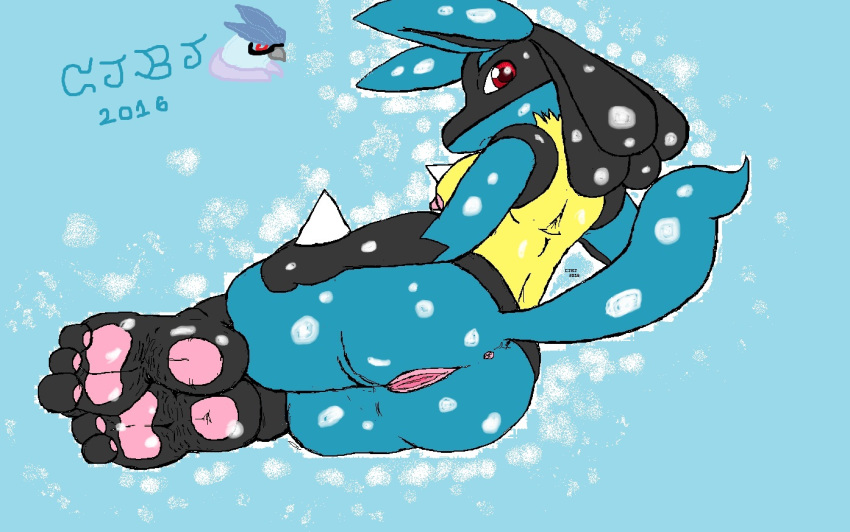 3_toes anthro anus black_fur blue_fur cooljaybluejay feet feet_in_camera female foot_fetish foot_focus fur hindpaw large_feet looking_at_viewer looking_back lucario lying ms_paint nintendo pawpads paws pokemon pokemon_(species) presenting pussy red_eyes toes video_games yellow_fur