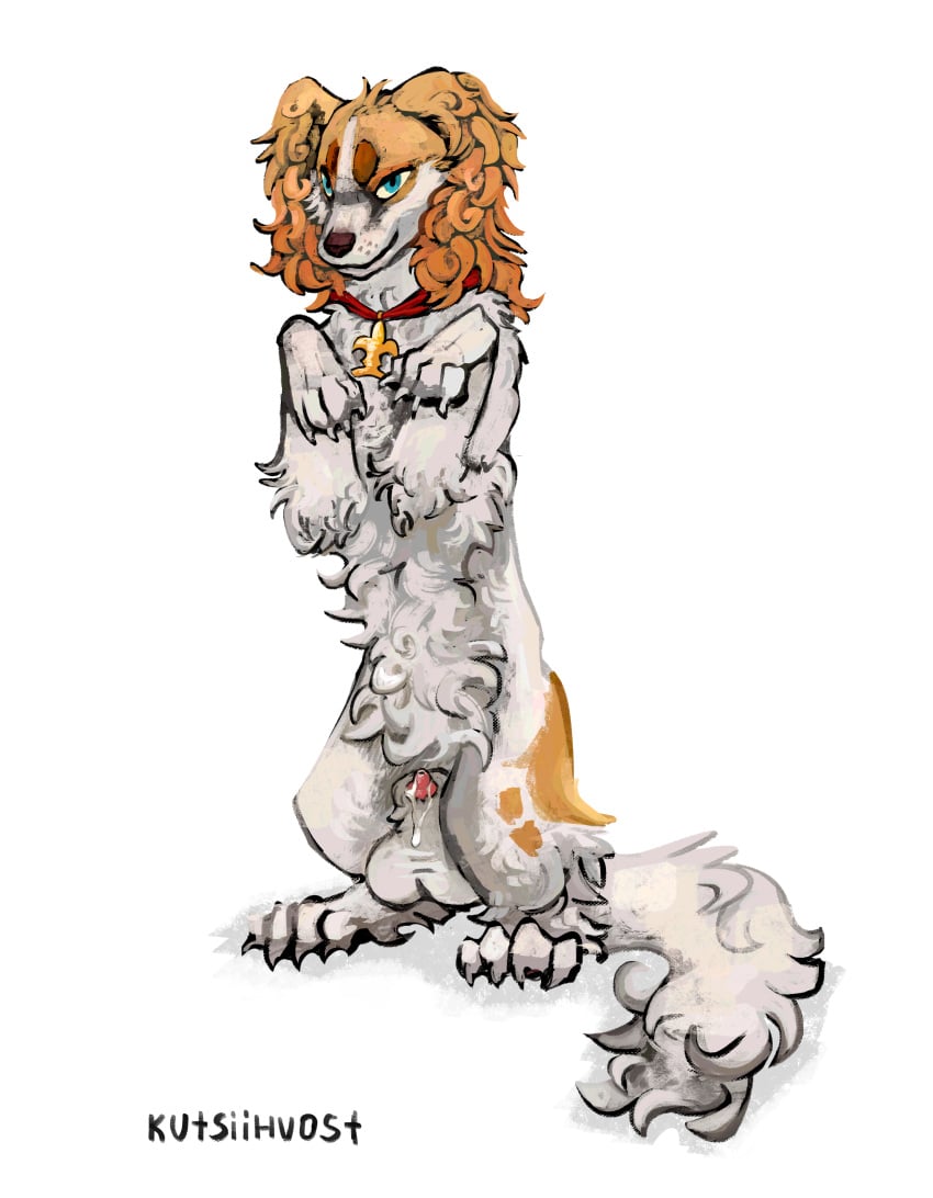 absurd_res anatomically_correct anatomically_correct_balls anatomically_correct_genitalia anatomically_correct_pussy balls belfort belfort_and_lupin bird_dog bodily_fluids canid canine canis curled_fur curled_hair curled_tail domestic_dog dripping feral fur genital_fluids genitals hair hi_res hunting_dog kutsiihvost leaking_precum male mammal penis precum precum_drip pussy royalty solo spaniel tail