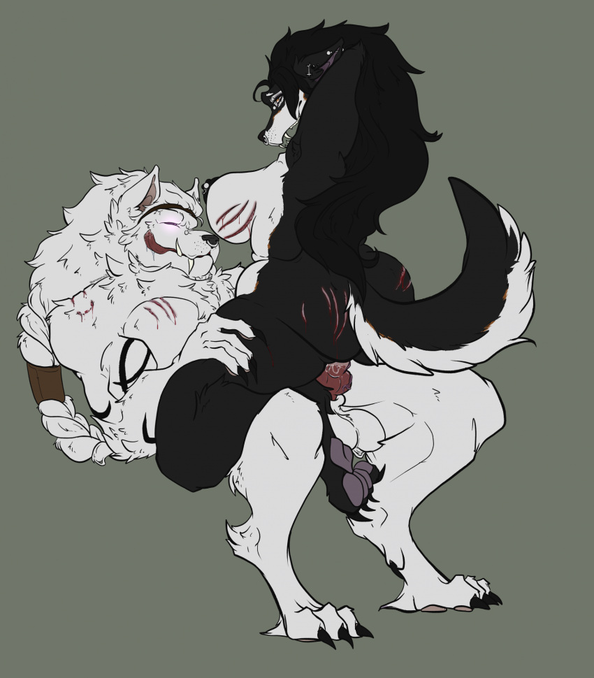 Animal Genitalia Rule 34 Image