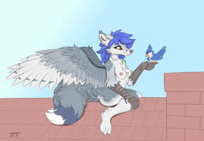 absurd_res anthro avian bird blue_hair canid canine canis duo feathered_wings feathers female feral fox fur gabriel_serealia hair hi_res long_tail mammal paws pinky_bestia shaded simple_background simple_shading tail wings wolf yellow_eyes