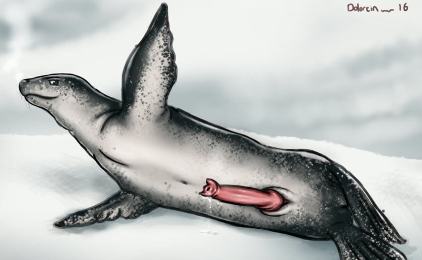 anatomically_correct dolorcin feral fin grey_eyes leaking leopard_seal male mammal marine penis precum presenting simple_background solo