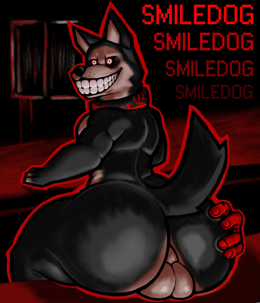 anthro anthrofied ass backsack balls big_butt canid canine canis creepy creepy_smile creepypasta demon digital_media_(artwork) domestic_dog gayguyfella genitals hi_res huge_butt husky looking_at_viewer looking_back male mammal nordic_sled_dog presenting presenting_hindquarters simple_background sitting smile smile.dog smiling_at_viewer solo spitz tail teeth thick_thighs