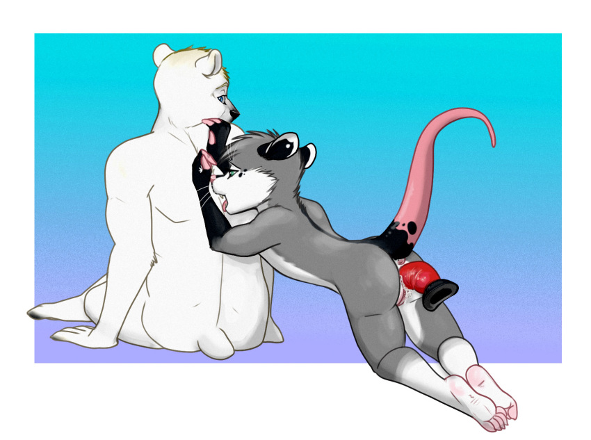 anthro ass bear dildo duo female fur furry laine licking lycheepuddn male mammal marsupial opossum paws polar_bear pussy sex_toy toes tongue wet