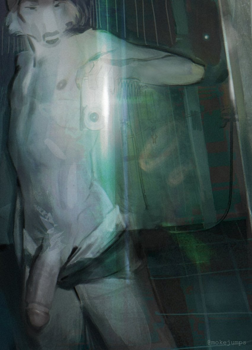 anthro bathroom big_penis bottomwear bottomwear_down camera camera_flash canid canine clothed clothing fur genitals grey_body grey_fur half-erect hi_res long_penis male mammal mirror mirror_selfie mokejumps partially_clothed penis presenting presenting_penis pubes selfie shorts shorts_down skinny skinny_male slim slim_male small_waist solo solo_focus thick_penis