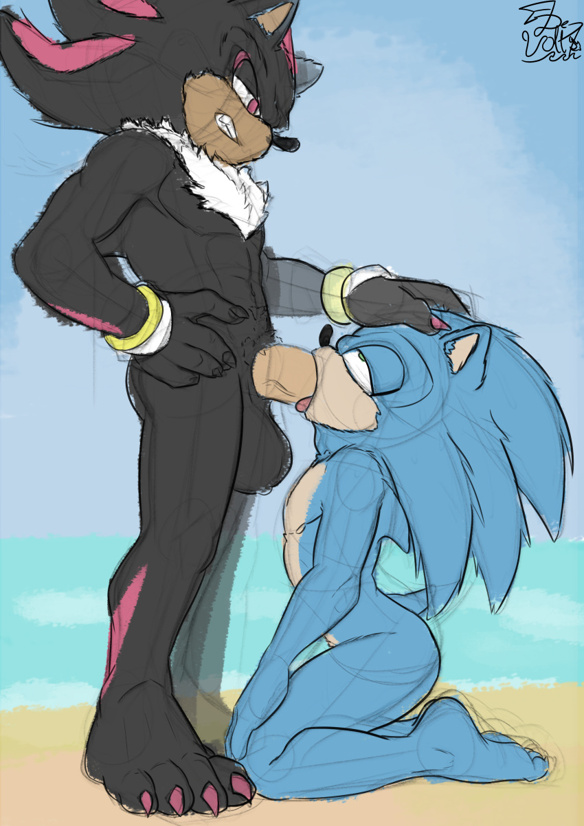 Shadow The Hedgehog (Sega) Rule 34 Image