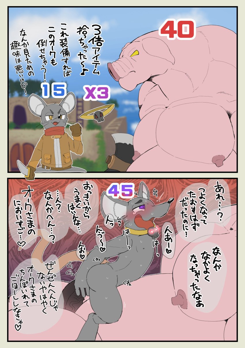 2024 5_fingers absurd_res anal anal_sex anthro anthro_on_anthro anthro_penetrated anthro_penetrating anthro_penetrating_anthro axe blush bodily_fluids bottomless bottomless_male clothed clothing collar collar_only comic dialogue domestic_pig duo erection fingers fist forced fur genitals gloves grey_body grey_fur haizuru half-closed_eyes handwear happy hi_res holding_axe holding_knife holding_object humanoid_genitalia humanoid_penis instant_loss_2koma japanese_text knife level_difference male male/male male_penetrated male_penetrating male_penetrating_male male_raped mammal mind_control moobs mouse murid murine narrowed_eyes navel nipples nude nude_male open_mouth penetration penis rape red_scarf rodent scarf serious sex side_view sitting_on_another sitting_on_partner speech_bubble spiral_eyes suid suine sus_(pig) sweat tail tears text topwear vein veiny_penis yellow_eyes