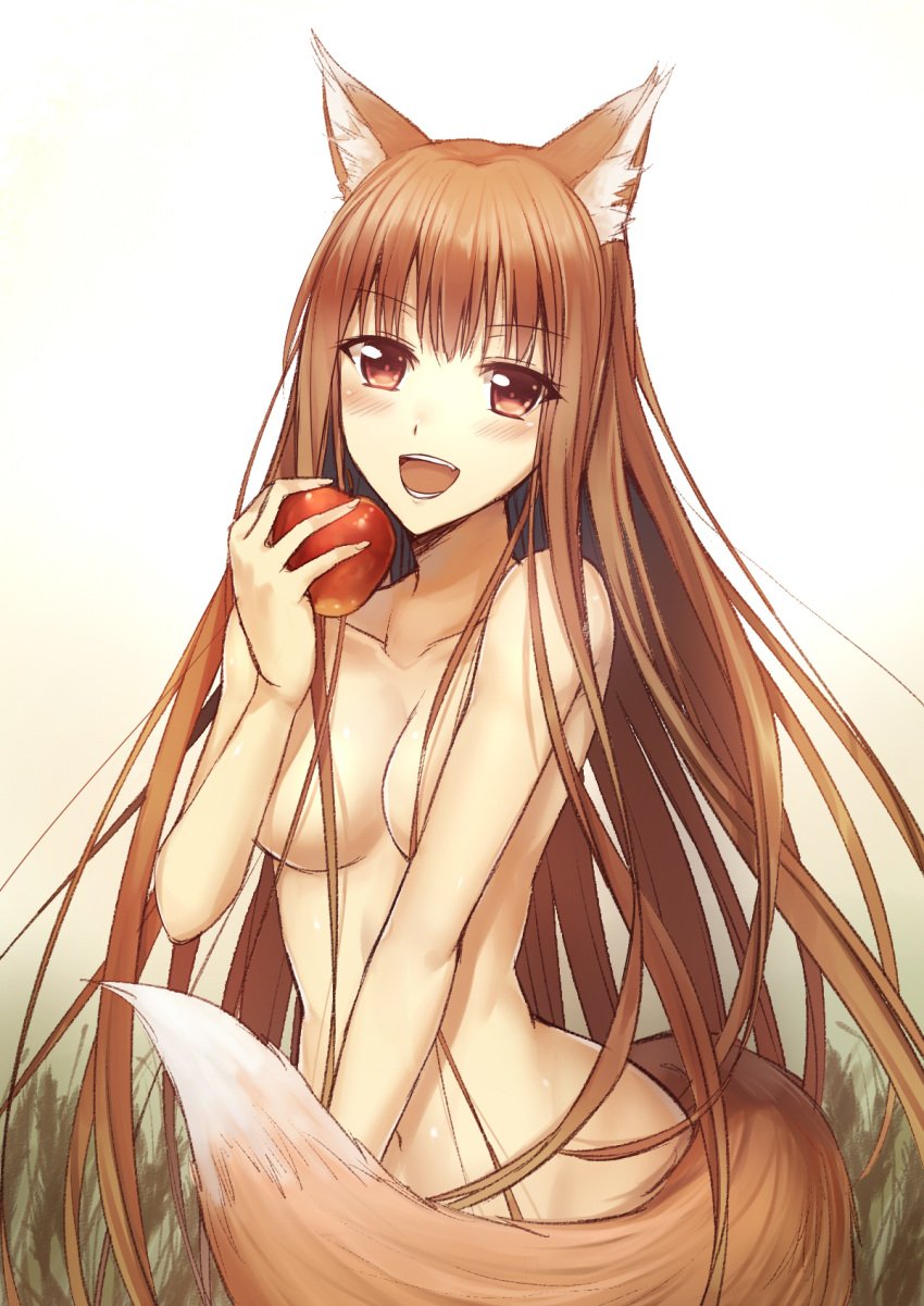 1girls animal_ears apple blush breasts brown_eyes brown_hair cleavage female food fruit hair_over_breasts highres holding holding_fruit holo large_breasts long_hair looking_at_viewer luzi navel nude red_eyes smile solo spice_and_wolf tail wolf_ears wolf_tail