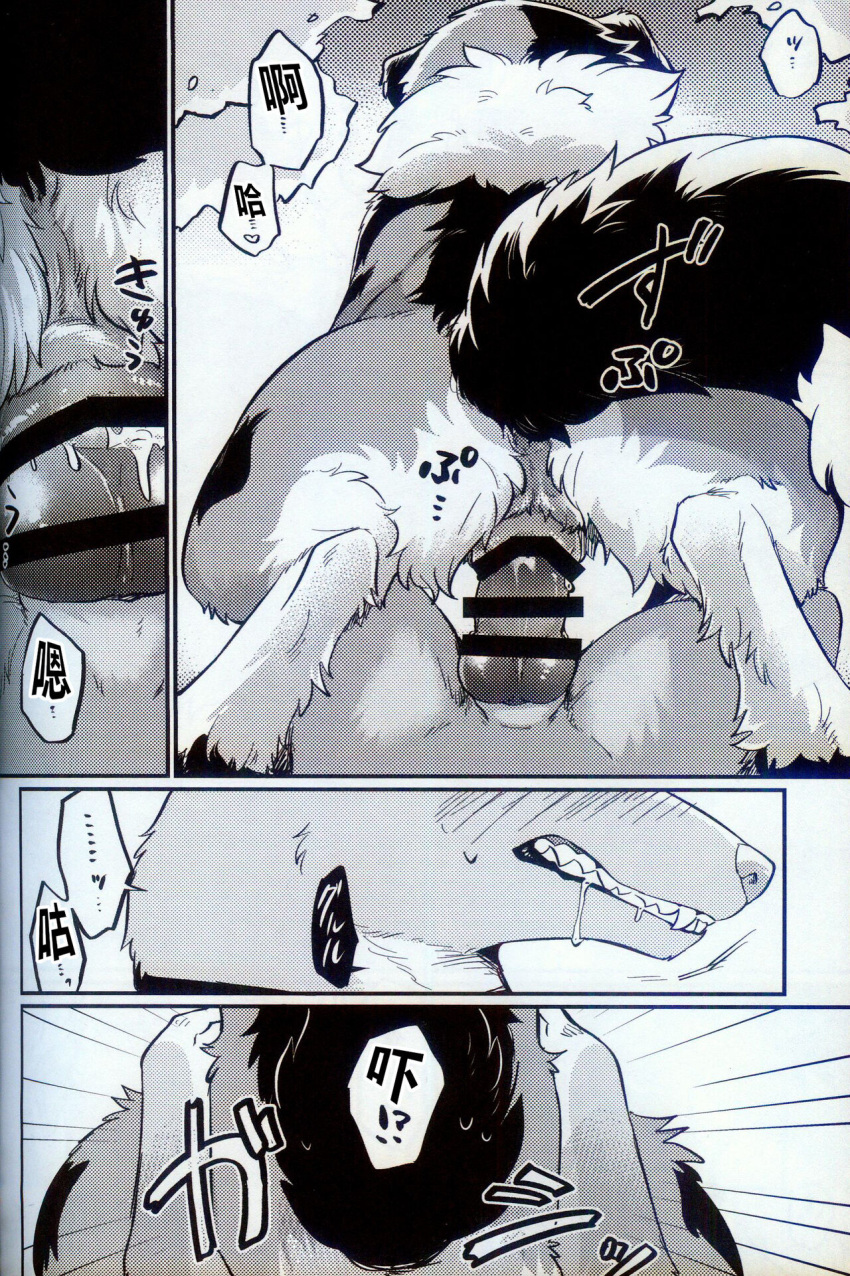 animal_genitalia blush bodily_fluids canid canine canis domestic_dog duo female female_penetrated feral genital_fluids genitals hi_res high-angle_view japanese_text ludek_(tsukune_minaga) male male/female male_penetrating male_penetrating_female mammal merle_(tsukune_minaga) penetration penile pussy sex text translation_request tsukune_minaga vaginal_penetration