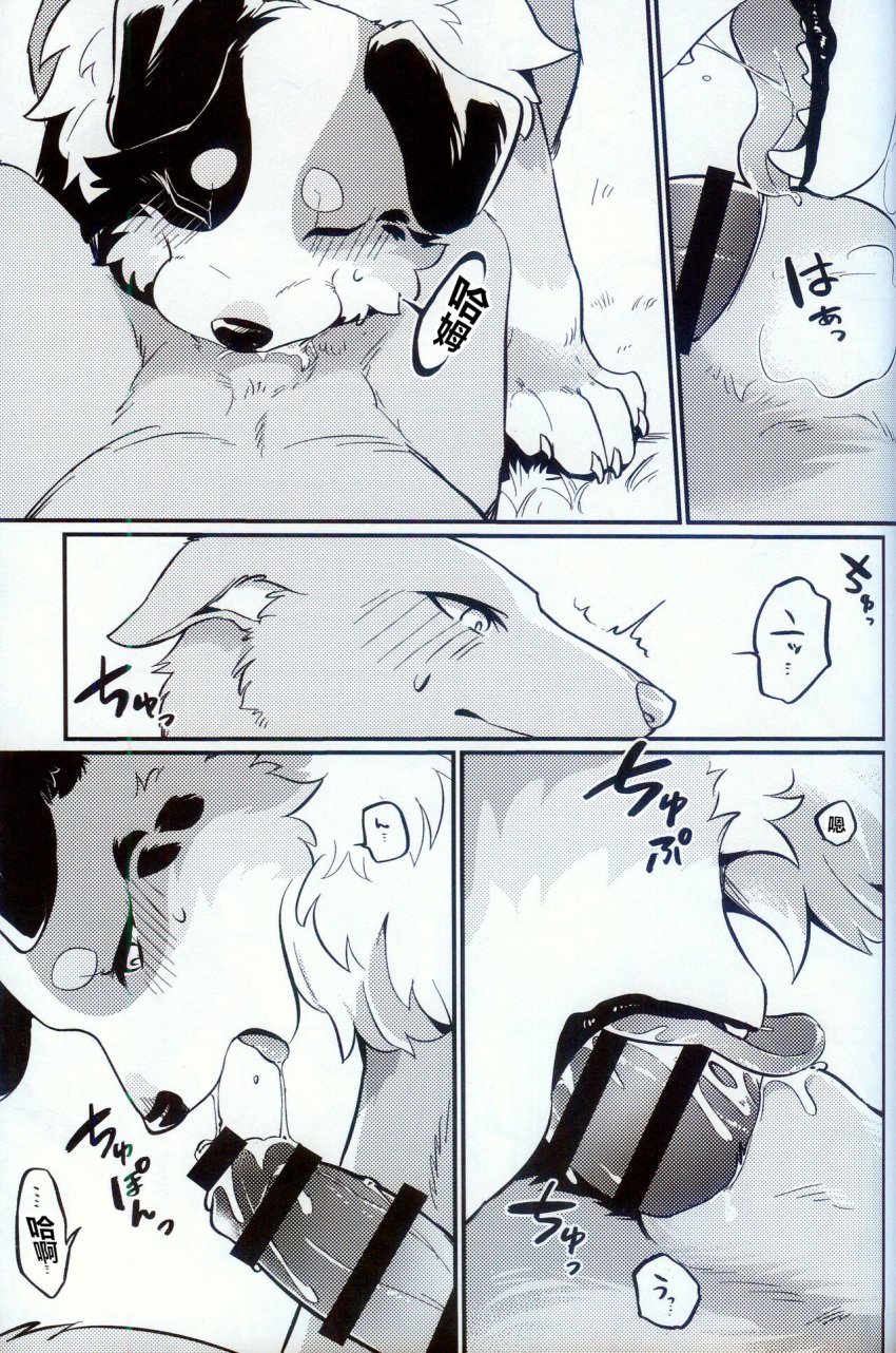 animal_genitalia blush bodily_fluids canid canine canis domestic_dog duo erection female female_penetrated feral genitals hi_res ludek_(tsukune_minaga) male male/female mammal merle_(tsukune_minaga) penetration penis text tongue translation_request tsukune_minaga