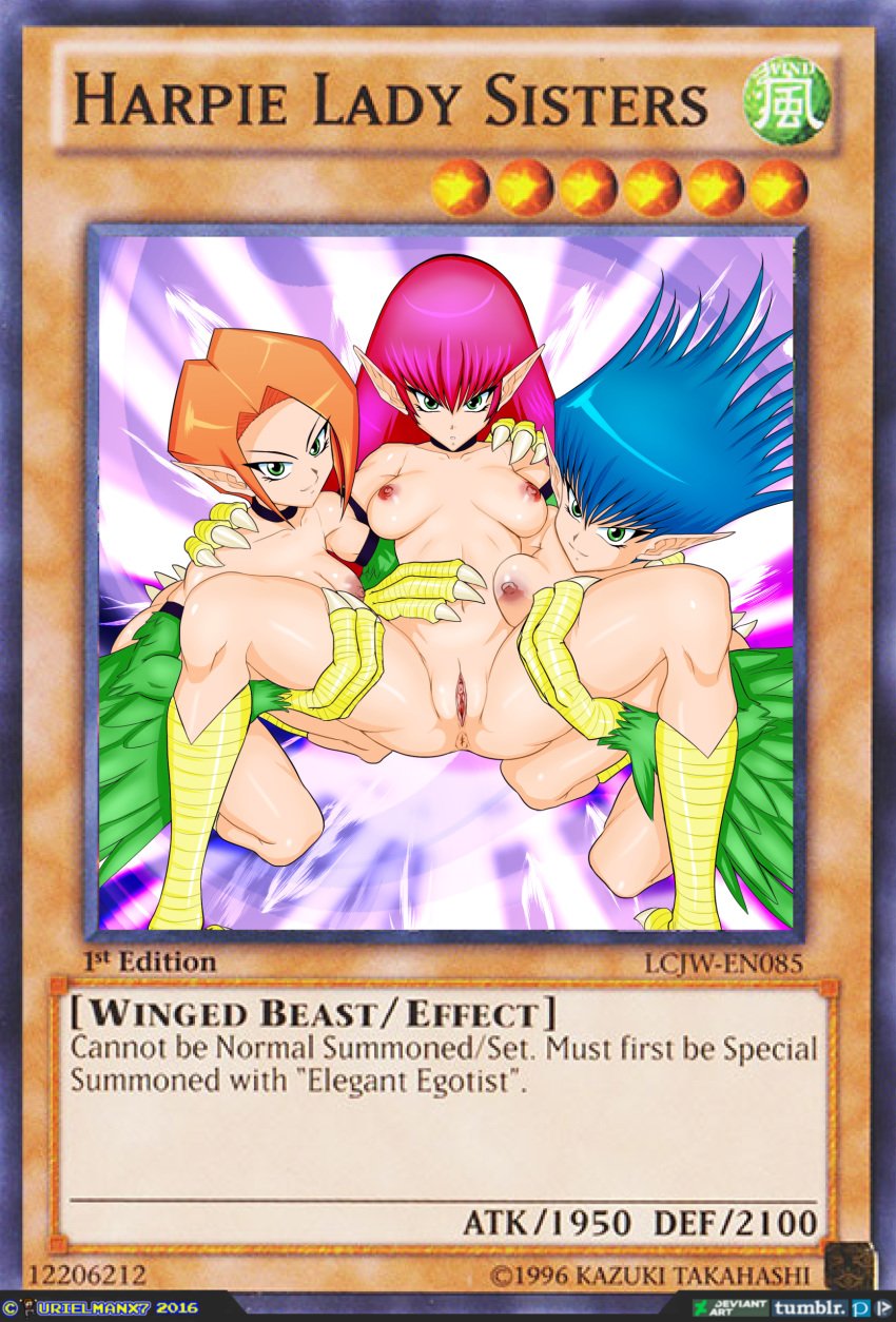 2016 anthro armpits avian breasts claws feathered_wings feathers female hair harpie_lady harpie_lady_sisters harpy humanoid kemono konami long_hair looking_at_viewer monster_girl monsters pink_hair trading_card urielmanx7 wings yu-gi-oh! yu-gi-oh!_card