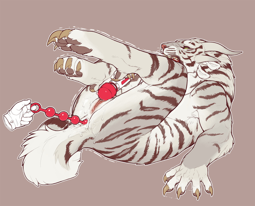 5 Fingers Rule 34 Image