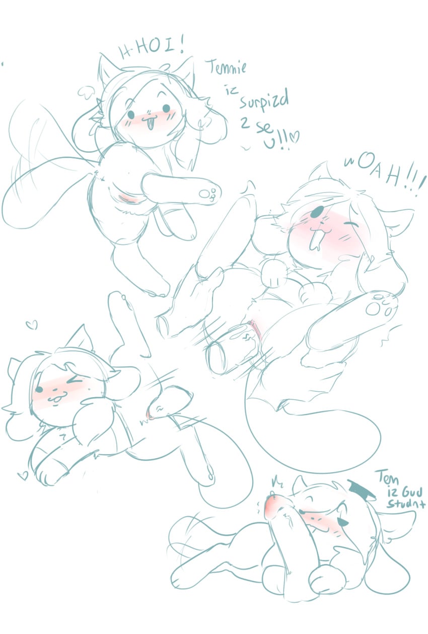Temmie (Undertale) Rule 34 Image