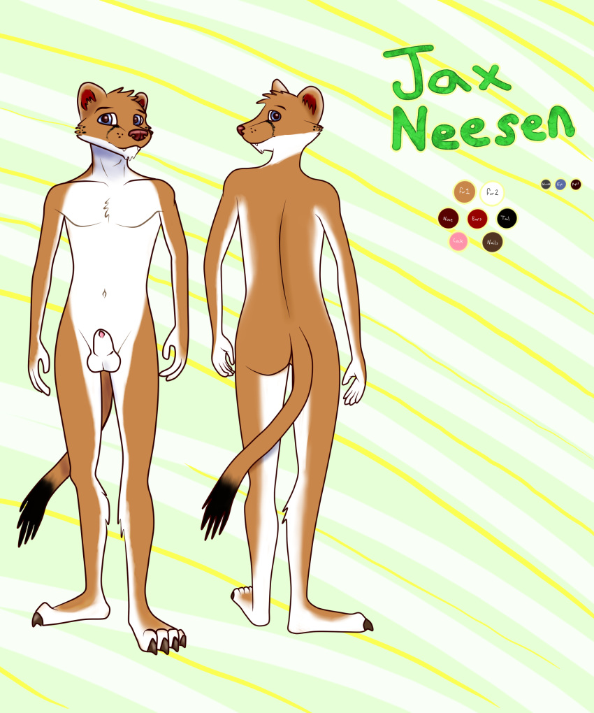 1boy 2016 anthro ass balls canine ermine fur hybrid jaxneesen looking_at_viewer male male_only mammal model_sheet mustelid nude penis simple_background smile solo weasel