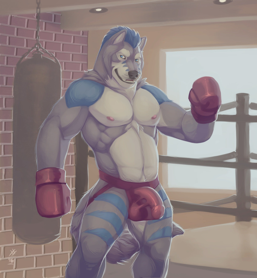 1boy 2016 anthro biceps black_nose blue_eyes blue_fur blue_hair boxing_gloves bulge canine clothed clothing erection frostwolf fur grey_fur hair inside jockstrap looking_at_viewer male male_only mammal multicolored_fur muscular muscular_male navel nipples penis_outline raised_arm rrowdybeast smile solo standing teeth topless underwear white_fur wolf