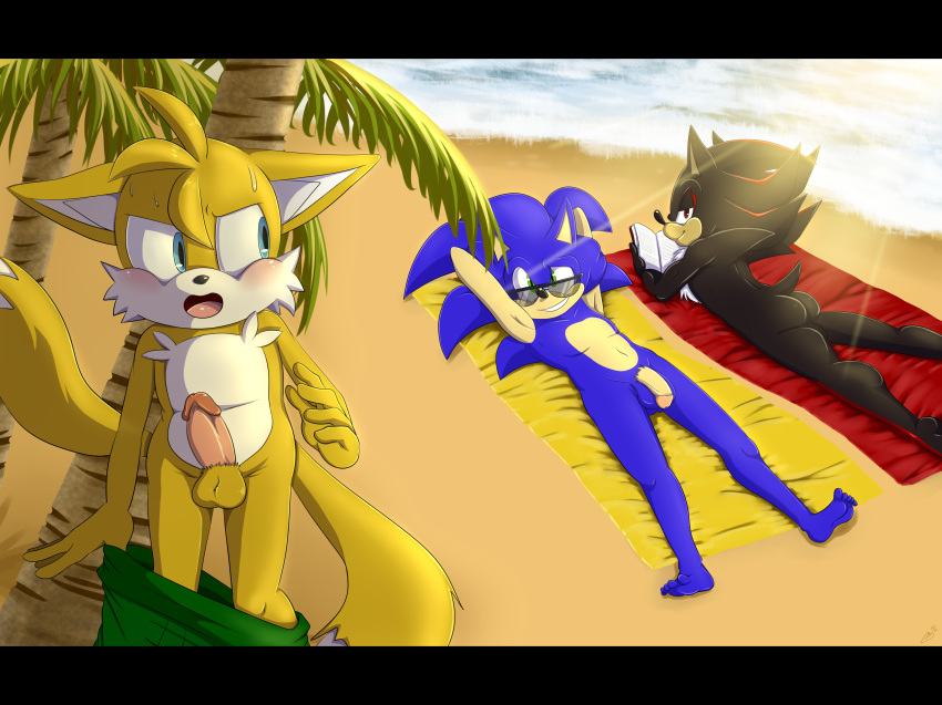 absurd_res anthro ass balls beach bluechika blush canine clothing erection eyewear flaccid fox group hedgehog hi_res male male_only mammal nude penis seaside shadow_the_hedgehog smile sonic_(series) sonic_the_hedgehog sunglasses tails undressing