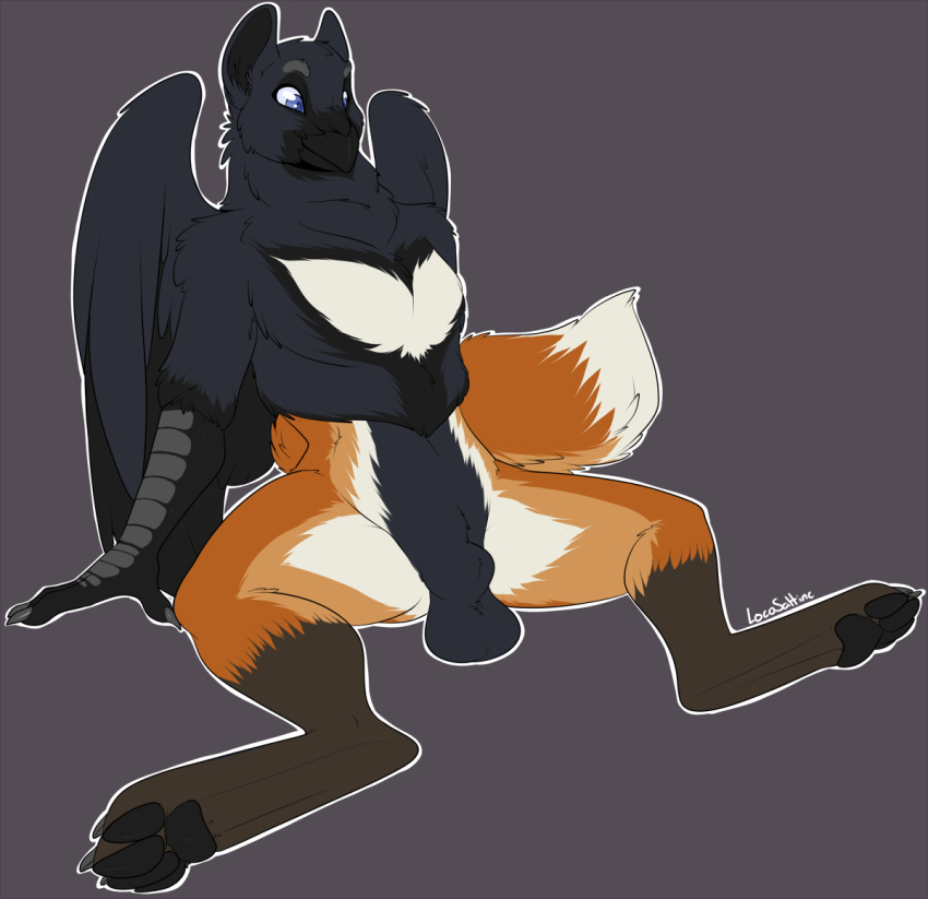 1boy alexandros animal_genitalia anthro avian balls beak bird canine feathered_wings feathers fox fully_sheathed grey_background gryphon hindpaw hybrid locosaltinc looking_at_viewer male male_only mammal paws sheath simple_background solo wings