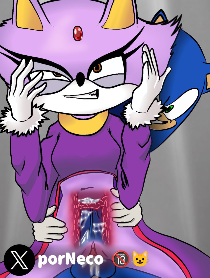 blaze_the_cat orgasm pussy scary_face sex sonic_(series) sonic_the_hedgehog_(series)