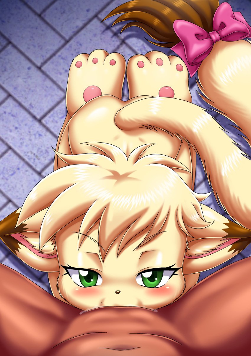 1boy 1girls annie_(little_tails) anthro ass bbmbbf blowjob blush deepthroat domestic_cat feline female furry hi_res human human_on_anthro little_tails male male/female nude oral oral_sex palcomix sex