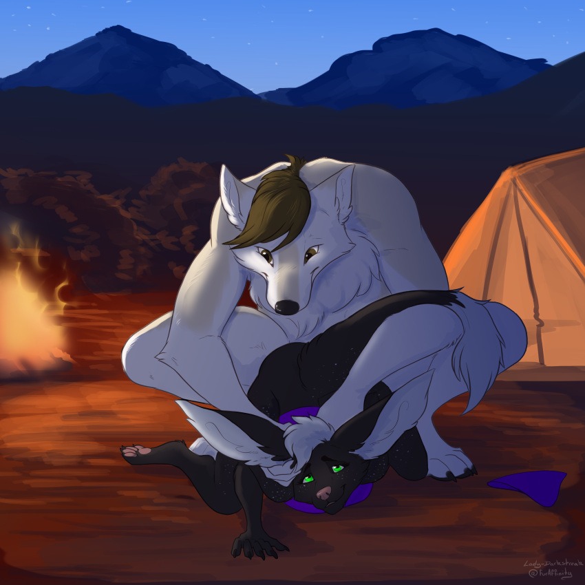 absurd_res anal anal_sex anthro big_ears black_body black_fur bottomless bottomless_male campfire camping camping_tent canid canine canis claws clothed clothing clothing_aside crop_top duo feet fire fluffy fur girly hi_res hobkin lady-darkstreak larger_male larger_male_smaller_male male male/male male_penetrated male_penetrating mammal mountain mountainside outside panties panties_aside pawpads penetration pinned pinned_to_ground plant sabbyth scruffy shirt shrub size_difference smaller_male taci_(anubuskiren) tent toe_claws toes topwear underwear underwear_aside white_body white_fur wolf