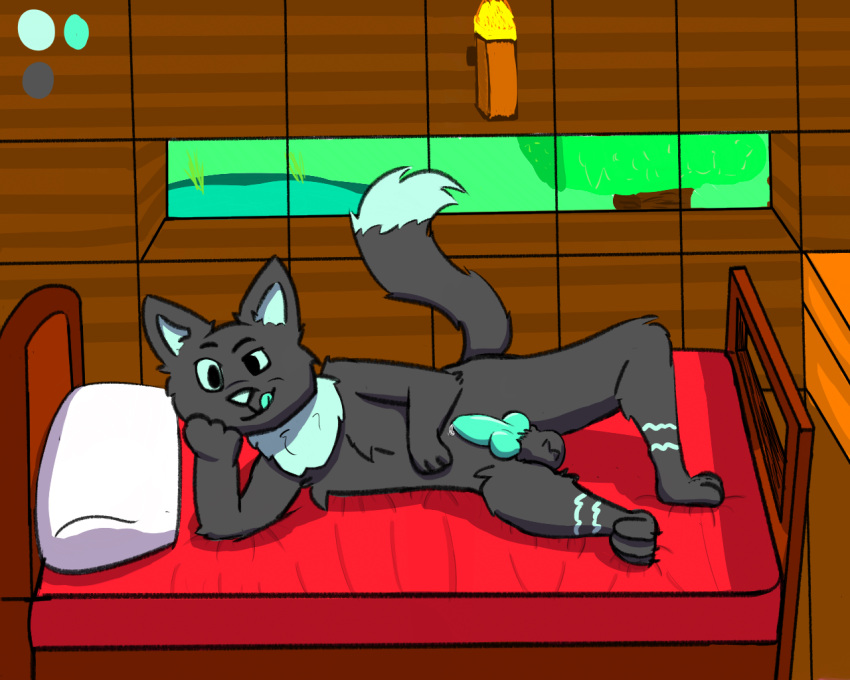 Animal Genitalia Rule 34 Image