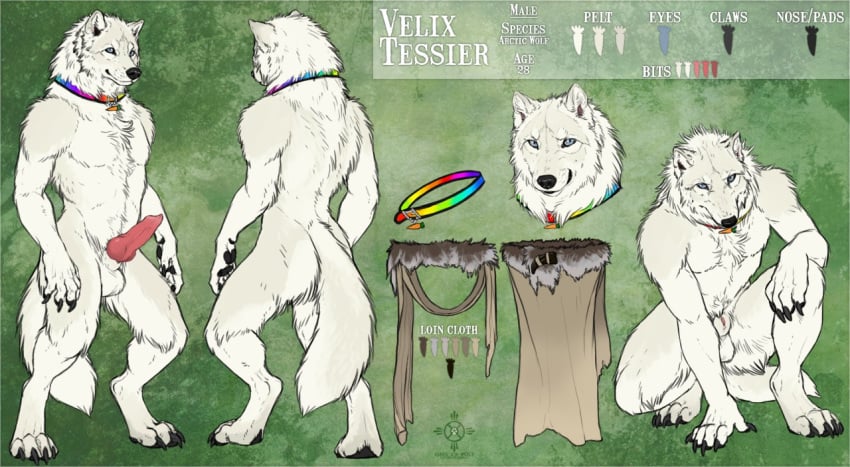 2016 animal_genitalia animal_penis anthro balls canine canine_penis darkicewolf erection fur knot male mammal model_sheet nude penis velix_tessier were werewolf white_fur wolf