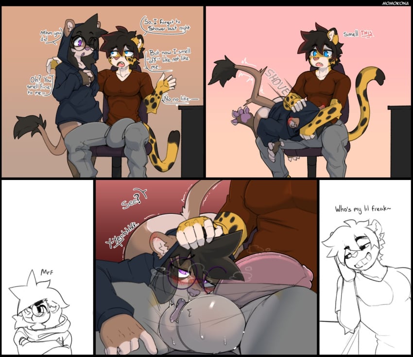 anthro ball_lick balls big_balls blue_eyes blush bodily_fluids breath bulge chair comic duo english_text eyewear felid female furniture genitals glasses hand_on_head hi_res leopard licking male male/female mammal momokona oral pantherine sex sweat sweaty_balls sweaty_genitalia text tongue
